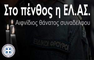 68fd1d661976b9d8b879f7809970f2e8